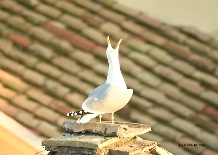 Penzion Relais Arco Della Pace Řím