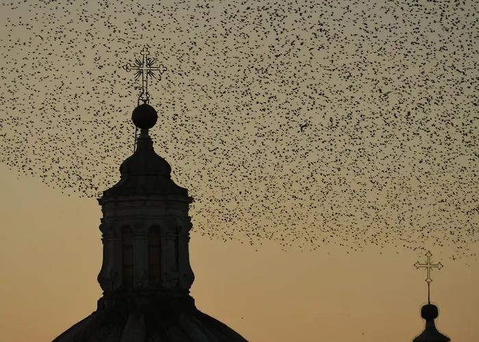 Affittacamere Relais Arco Della Pace Roma